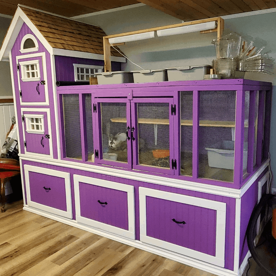 Bunny Hutch - c